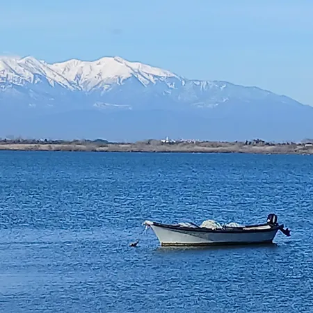 Spacieux Centre Ideal Visa Pour L Image * Perpignan